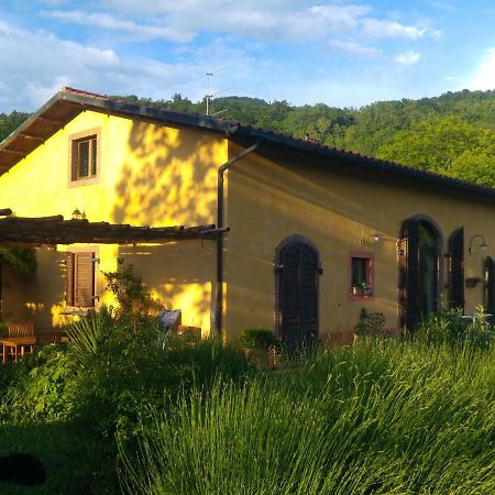 Podere Di Maggio - Casa Della Nonna سانتا فيورا المظهر الخارجي الصورة