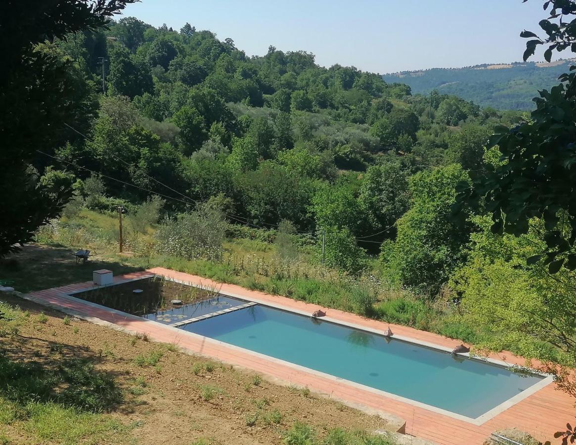 Podere Di Maggio - Casa Della Nonna سانتا فيورا المظهر الخارجي الصورة