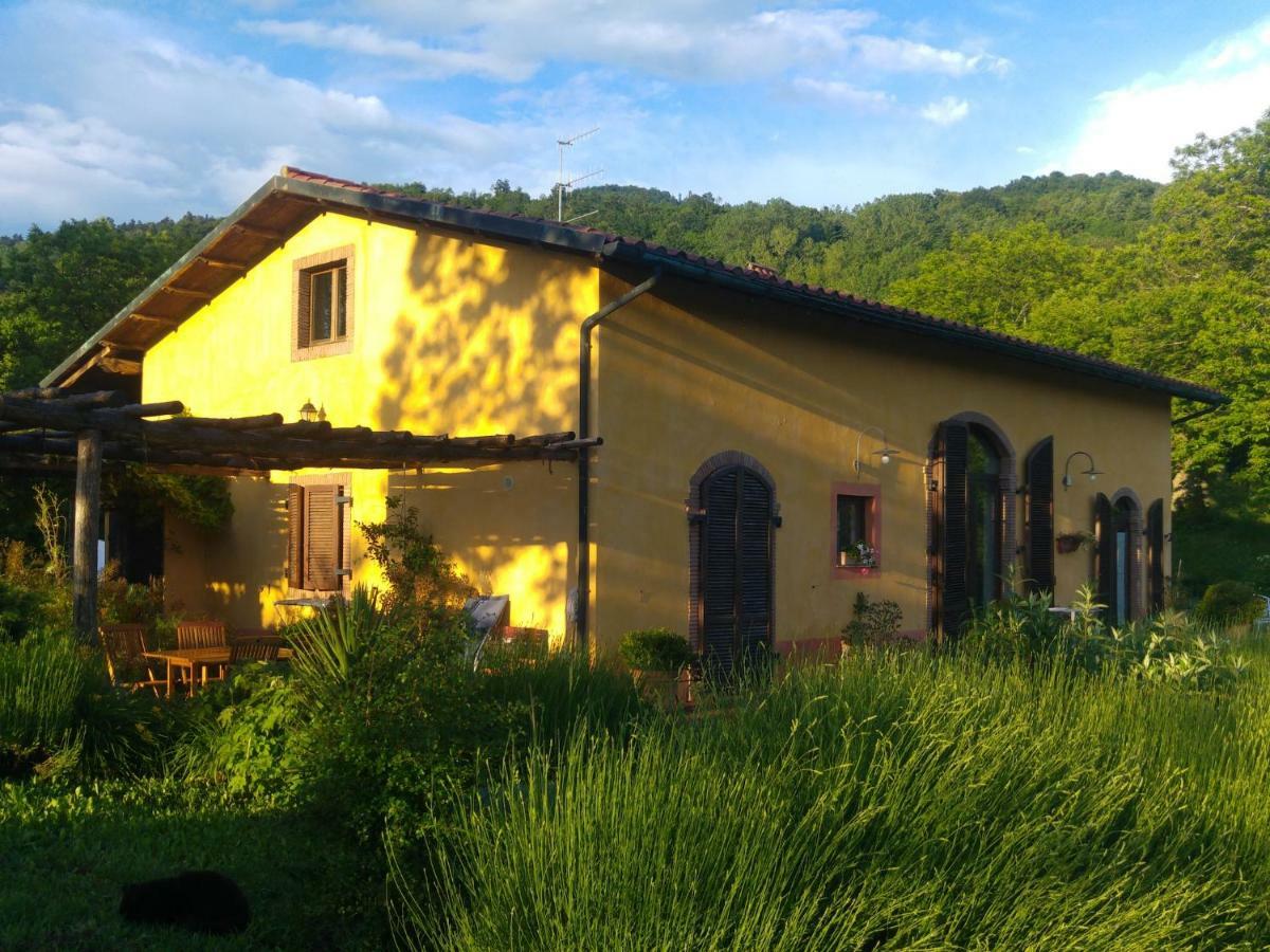 Podere Di Maggio - Casa Della Nonna سانتا فيورا المظهر الخارجي الصورة