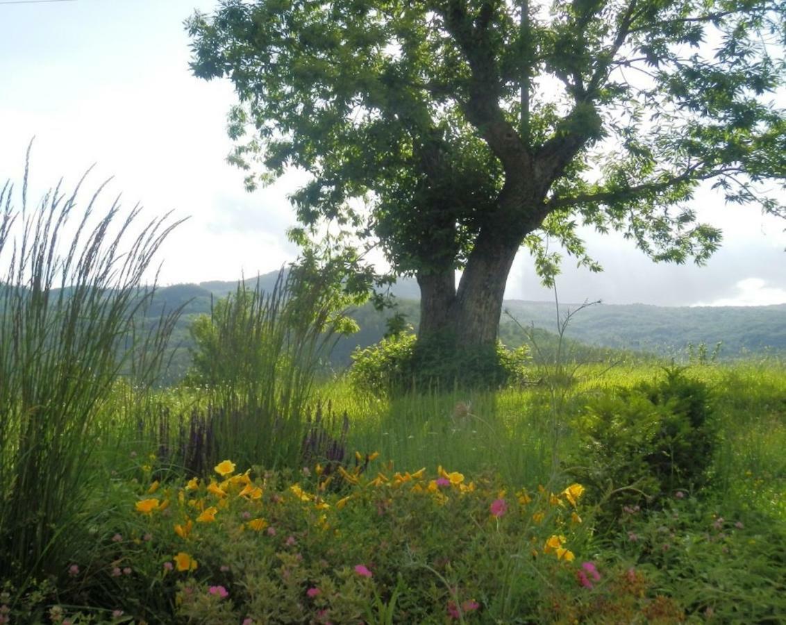 Podere Di Maggio - Casa Della Nonna سانتا فيورا المظهر الخارجي الصورة